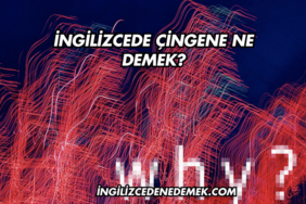İngilizcede Çingene Ne Demek?