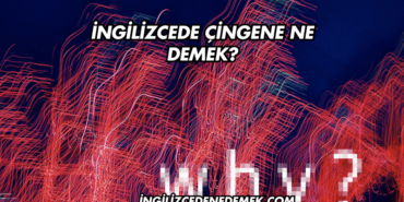 İngilizcede Çingene Ne Demek?