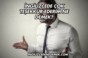 İngilizcede Çok Teşekkür Ederim Ne Demek?