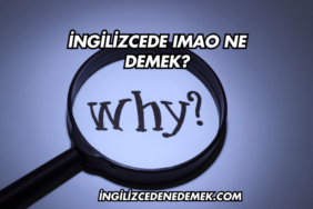 İngilizcede IMAO Ne Demek?