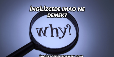 İngilizcede IMAO Ne Demek?