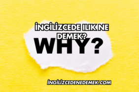 İngilizcede Ilık Ne Demek?