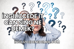 İngilizcede It Can Sing Ne Demek?