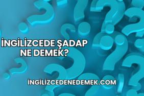 İngilizcede Şadap Ne Demek?