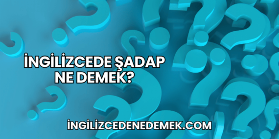 İngilizcede Şadap Ne Demek?