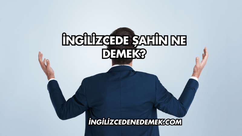 İngilizcede Şahin Ne Demek?