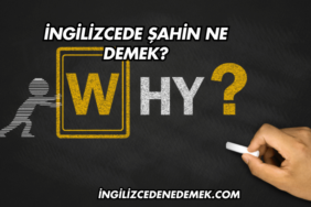 İngilizcede Şahin Ne Demek?