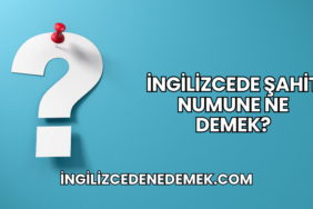 İngilizcede Şahit Numune Ne Demek?