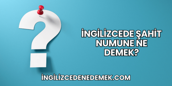 İngilizcede Şahit Numune Ne Demek?