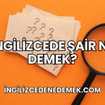 İngilizcede Şair Ne Demek?