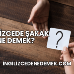 İngilizcede Şakak Ne Demek?