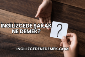 İngilizcede Şakak Ne Demek?