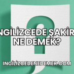 İngilizcede Şakirt Ne Demek?