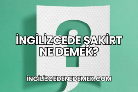 İngilizcede Şakirt Ne Demek?