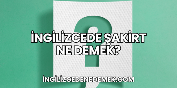İngilizcede Şakirt Ne Demek?