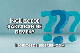 İngilizcede Şaklaban Ne Demek (2)