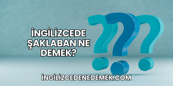 İngilizcede Şaklaban Ne Demek?