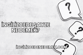 İngilizcede Şayze Ne Demek?