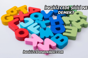 İngilizcede Şilili Ne Demek?