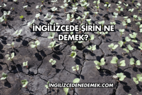 İngilizcede Şirin Ne Demek?