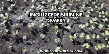 İngilizcede Şirin Ne Demek?