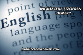 İngilizcede Şizofren Ne Demek?