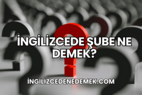 İngilizcede Şube Ne Demek?