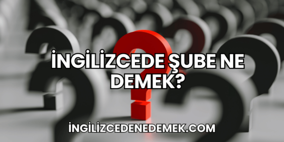 İngilizcede Şube Ne Demek?
