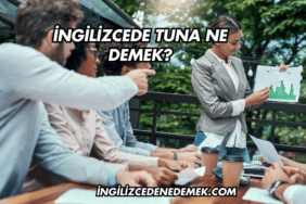 İngilizcede Tuna Ne Demek?
