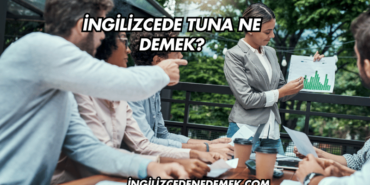 İngilizcede Tuna Ne Demek?
