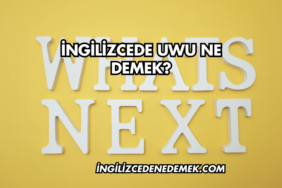 İngilizcede UWU Ne Demek?