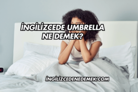 İngilizcede Umbrella Ne Demek?
