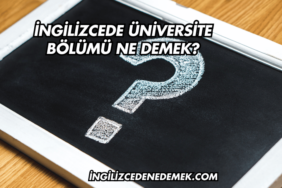 İngilizcede Üniversite Bölümü Ne Demek?