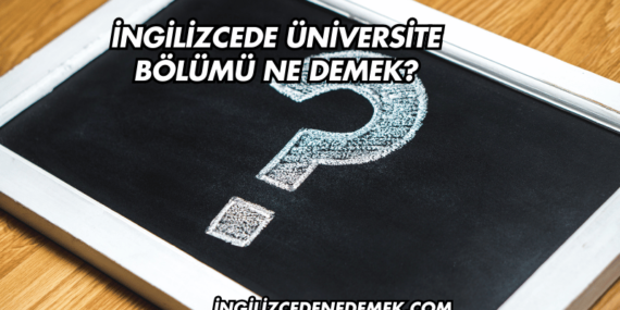 İngilizcede Üniversite Bölümü Ne Demek?
