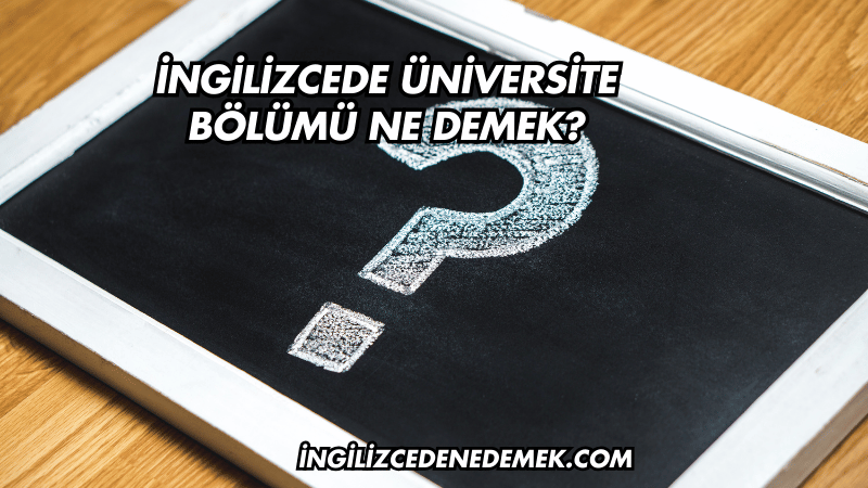 İngilizcede Üniversite Bölümü Ne Demek?