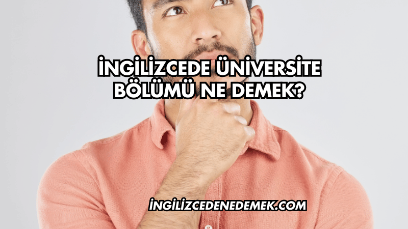 İngilizcede Üniversite Bölümü Ne Demek?
