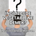 İngilizcede Vegetable Ne Demek?