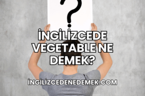 İngilizcede Vegetable Ne Demek?
