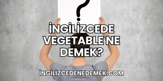 İngilizcede Vegetable Ne Demek?