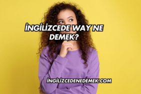 İngilizcede Way Ne Demek?