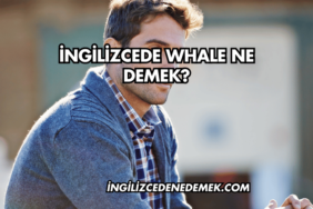 İngilizcede Whale Ne Demek?
