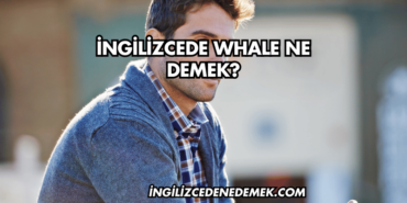 İngilizcede Whale Ne Demek?