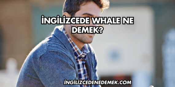 İngilizcede Whale Ne Demek?