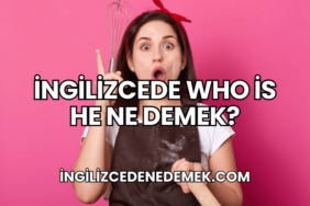İngilizcede Who is he Ne Demek?