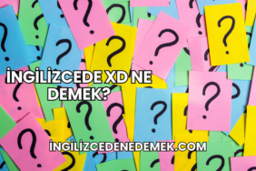 İngilizcede XD Ne Demek?