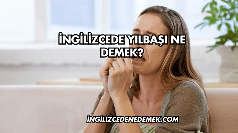 İngilizcede Yılbaşı Ne Demek?