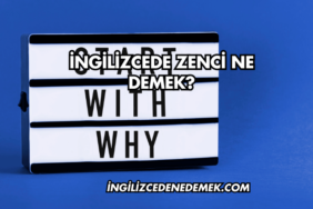 İngilizcede Zenci Ne Demek?