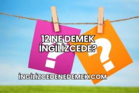 12 Ne Demek İngilizcede?