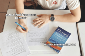 Amca İngilizcede Ne Demek?