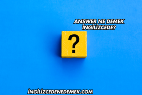 Answer Ne Demek İngilizcede?